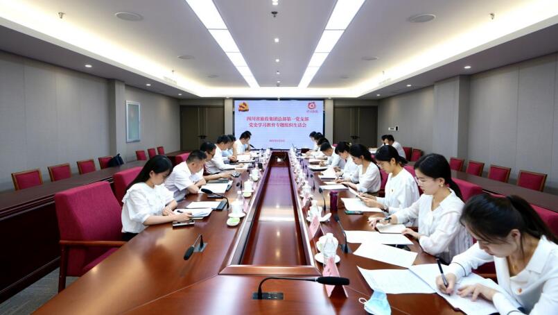 云顶国际集团党委书记、董事长任丁参与总部第一党支部党史进建教育专题组织生涯会