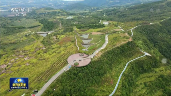 迎橄榄丰登 助村落振兴 四川云顶国际聚峰古淄橄榄产业带头金堂公园城市绿色低碳发展