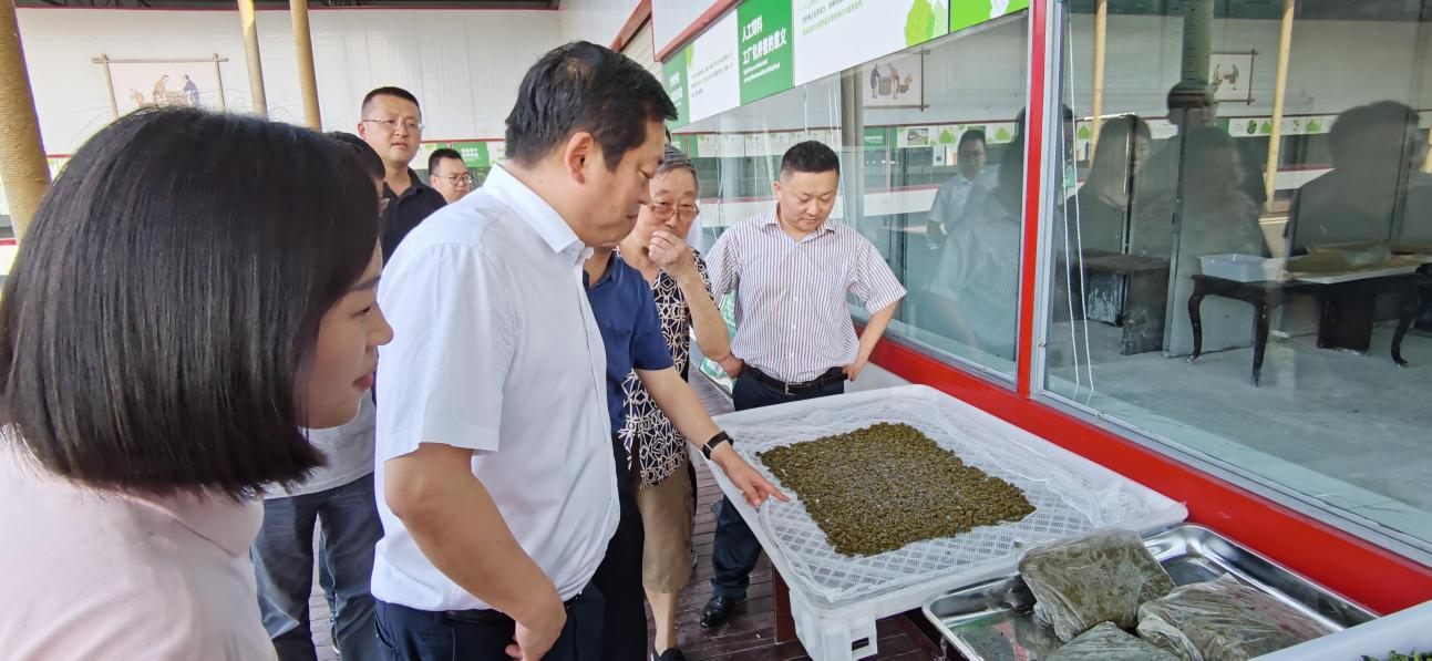 省云顶国际集团党委副书记、董事陈日赴嘉陵区调研茶桑产业发展情况
