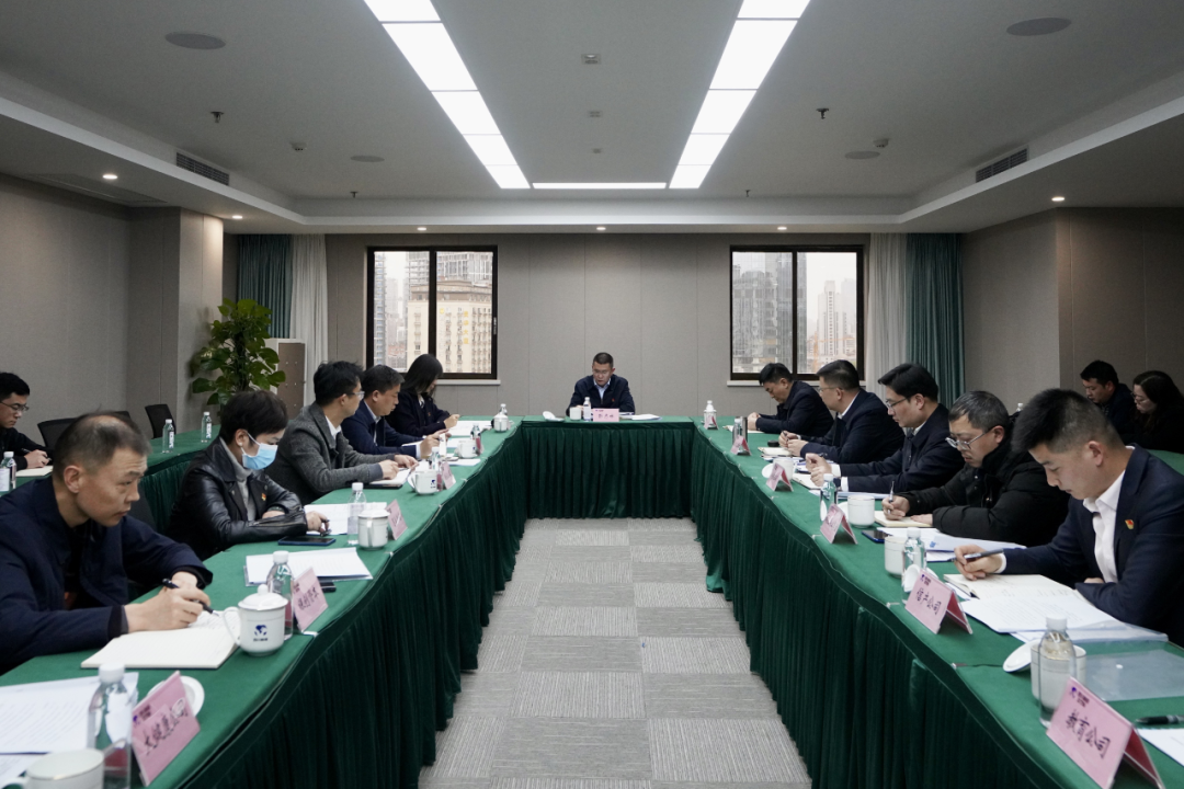 四川省云顶国际集团发展纪检监察干部行列教育整顿进建教育